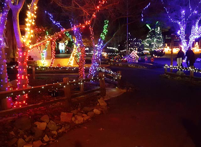 best christmas light displays in arizona