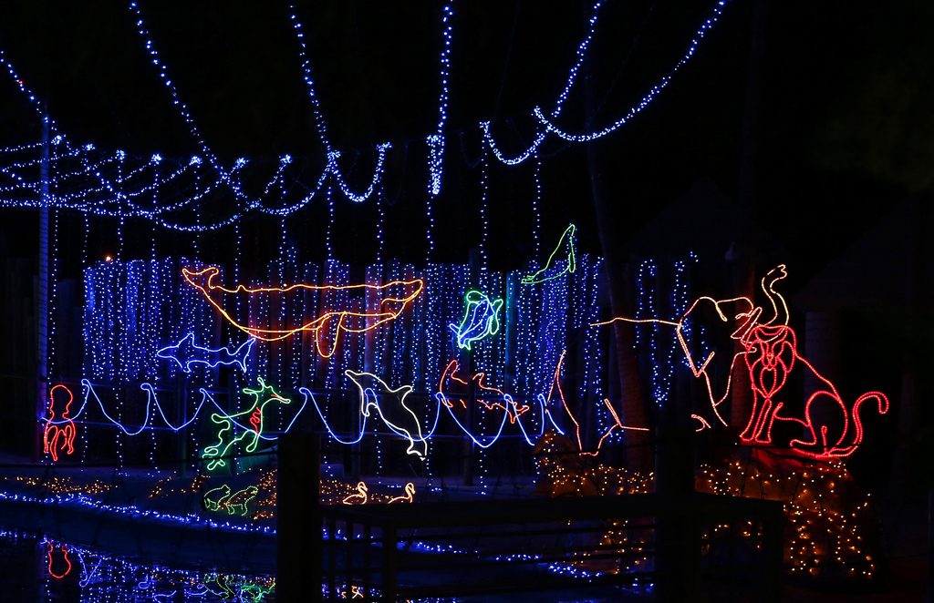 best christmas light displays in arizona