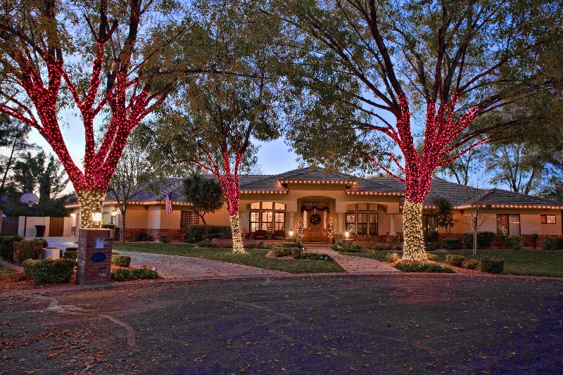 Phoenix estate with professional Christmas light installation — warm roofline lights and red-wrapped tree trunks at dusk